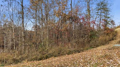 481 Hidden Forest Trail, Spring City, TN 37381 - photo 7
