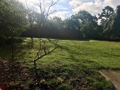 511 Bluebird St unit 2, Fredericksburg, TX 78624 - photo 5