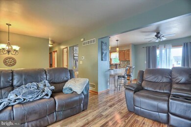 224 Cypress Ln, New Holland, PA 17557 - photo 4