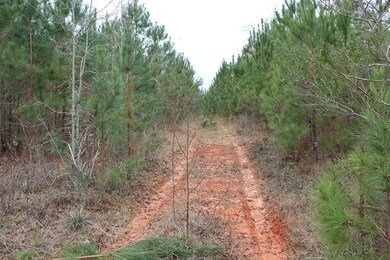 0 Crook Rd unit 440699, Lincolnton, GA 30817 - photo 2