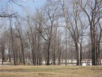 View. VIEW FROM THE HOUSE IS DELAWARE PARK. STEPS 