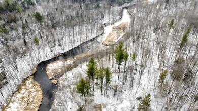 ON Cth C unit 7.87 Acres, Antigo, WI 54409 - photo 3