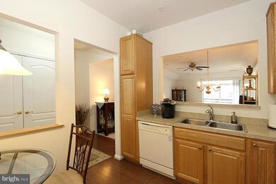 6155 Shadywood Rd unit 408, Elkridge, MD 21075 - photo 6