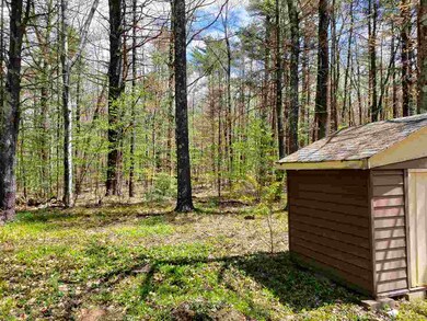 113 Walsh Rd, Sanbornville, NH 03872 - photo 6