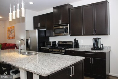 13238 Shawnee Ln unit 106, Clarksburg, MD 20871 - photo 7