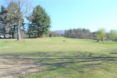LARGE back yard