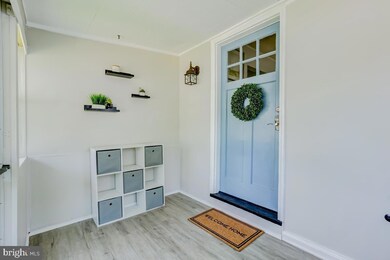 322 Willow Ave, Frederick, MD 21701 - photo 5