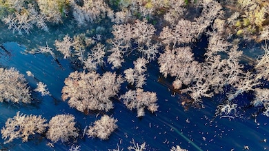 1215 Dennis Slaughter Rd, Pollock, LA 71467 - photo 4