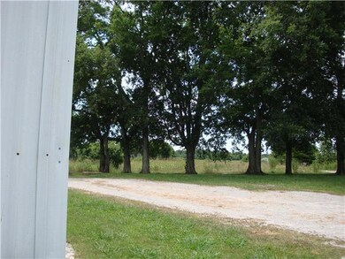 Looking at the Shade Trees in front of the Home from the side of the House.