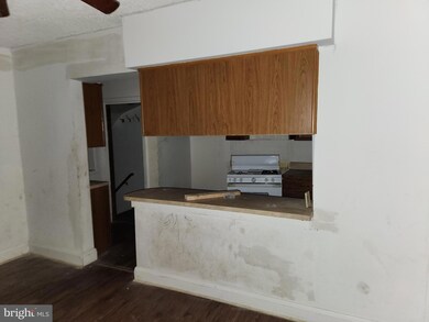 3948 Brooklyn Ave, Brooklyn, MD 21225 - photo 6