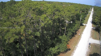 17354 75th Place N, Unincorporated Palm Beach County, FL 33470 - photo 4