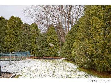 Yard/Garden. side yard with basketball area... and