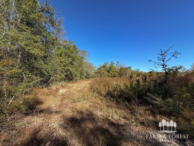 XX2 Seay Rd, Cottondale, FL 32431 - photo 6