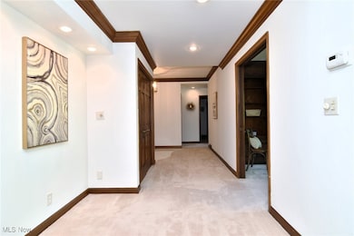 5200 Three Village Dr unit 2FH, Cleveland, OH 44124 - photo 7