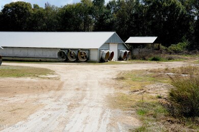 320 Billy Davis Rd, Silver Creek, MS 39663 - photo 5