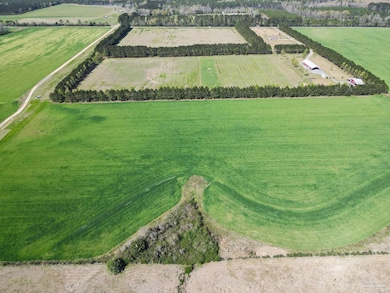 5872 S State Hwy 99, McDavid, FL 32568 - photo 7