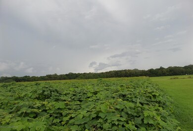 10 Wheeler Rd, Hernando, MS 38632 - photo 2