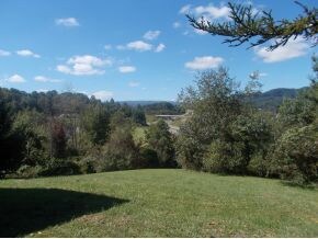 view from front porch