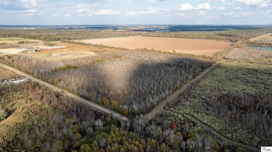 0 Wagon Wheel Rd unit 217182, Monroe, LA 71203 - photo 2