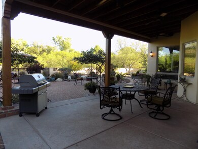 Backyard (3)