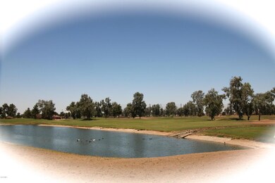 You can come feed the ducks