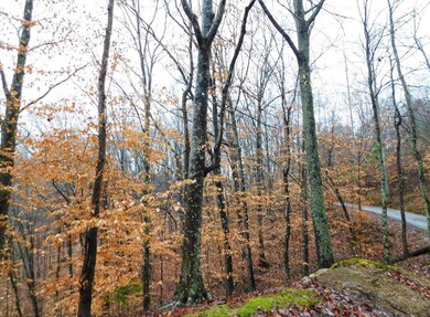 123 Harmon Rd, Somerset, KY 42501 - photo 4