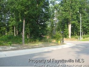 234 Forest Creek Dr, Fayetteville, NC 28303 - photo 2