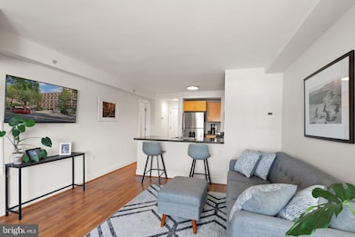 Potomac Place Tower unit S712, Washington, DC 20024 - photo 3