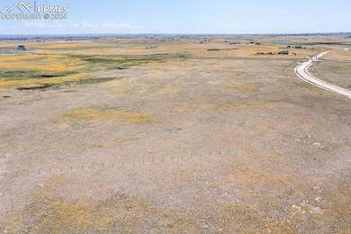 8515 Palomino Ridge View, Peyton, CO 80831 - photo 7