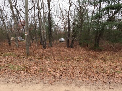 V/L 40th Ave, Merrill Township, MI 49309 - photo 2