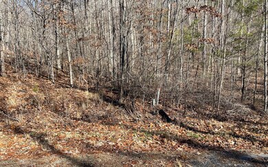 Additional View