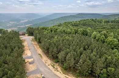 0 Waterwheel Way unit 1500202, Jasper, TN 37347 - photo 4