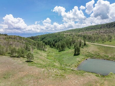 0 Little Rose Ln unit 9A & 9B 42727, Ridgway, CO 81432 - photo 5