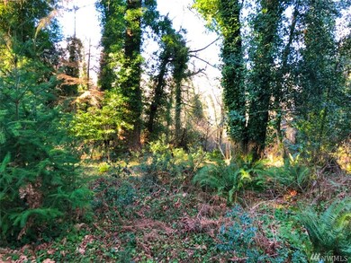 97 SW 117th St, Vashon, WA 98070 - photo 2