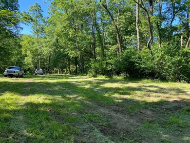 0 Township Rd 539 unit 221021120, Loudonville, OH 44842 - photo 4