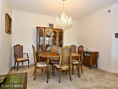 3005 Leisure World Blvd S unit 508, Silver Spring, MD 20906 - photo 6