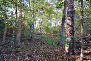 000 Deer Run Rd, Nacogdoches, TX 75964 - photo 2