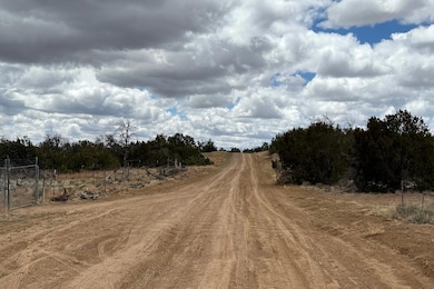 0 Edgewood Dr unit 25503300, Ramah, NM 87321 - photo 2