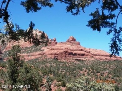 QUAIL TAIL TRAIL 012