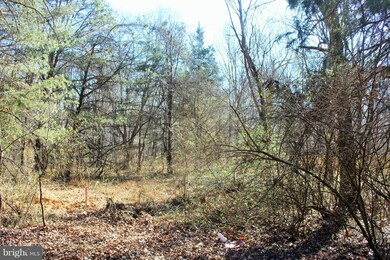 5721 Turner Rd, Broad Run, VA 20137 - photo 4