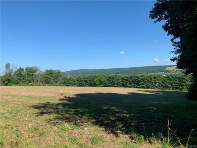 0 Winter Mountain Rd unit 650769, Lehighton, PA 18235 - photo 2