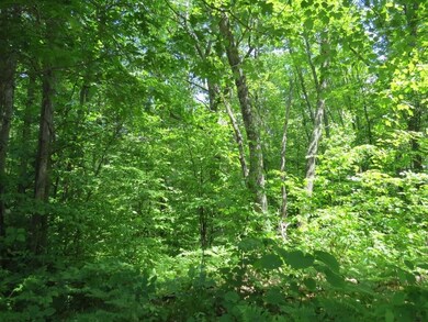 xxx Lily Lake Inn Rd, Webster, WI 54893 - photo 6