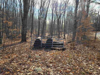 Property starts here, right side of property line 