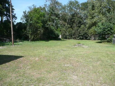 Back Yard (002)