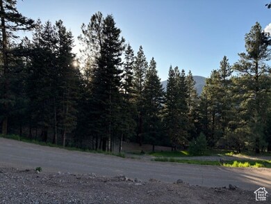View of asphalt road featuring a view of trees
