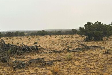 N7104, Saint Johns, AZ 85936 - photo 5