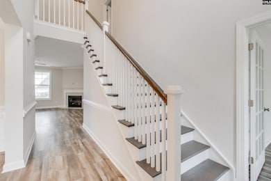 2351 Hadley Crossing, Chapin, SC 29036 - photo 4