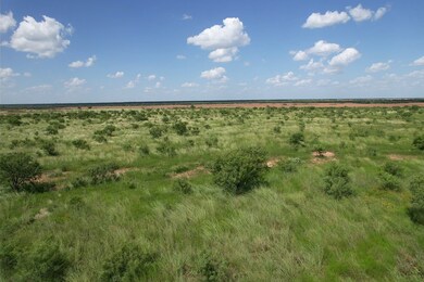 Tract 11 TBD Cr 483, Hawley, TX 79525 - photo 5