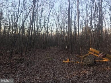 0 Thorny Grove Rd, Southampton Township, PA 17257 - photo 5