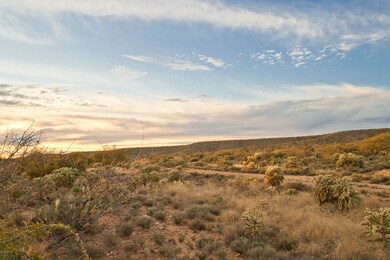 0 E Horseshoe Bend Rd unit B 22518197, Saddlebrooke, AZ 85739 - photo 3